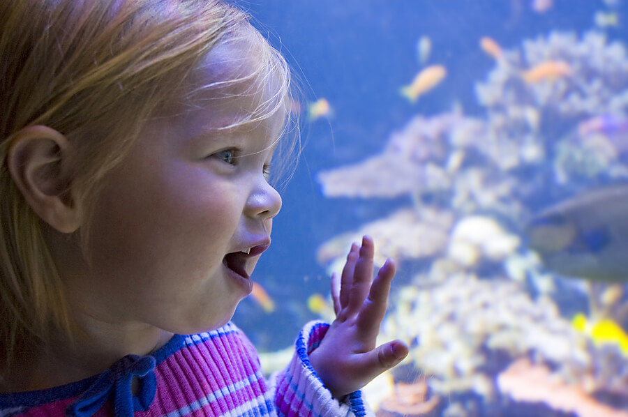 Child at Aquarium