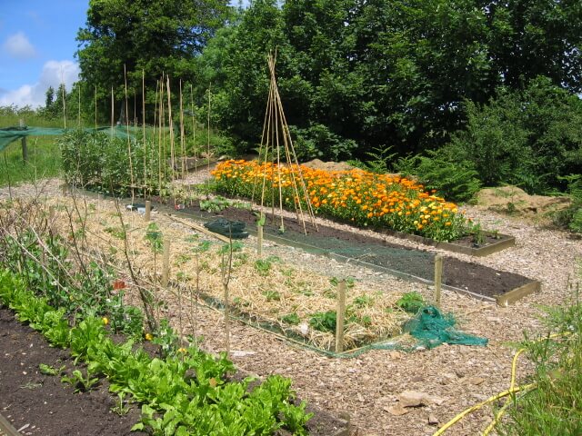 Organic Garden