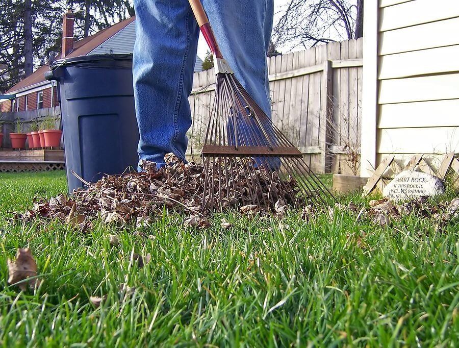 YardWork,RakingLeaves