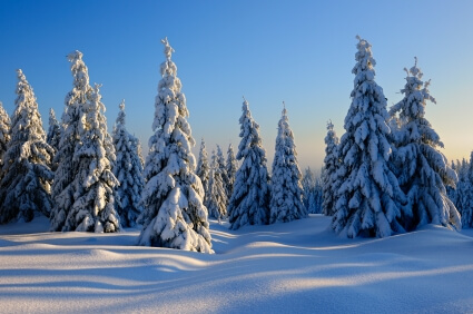 Snow-ThemedActivites,Snow-ThemedCrafts,WinterActivities,WinterLandscape