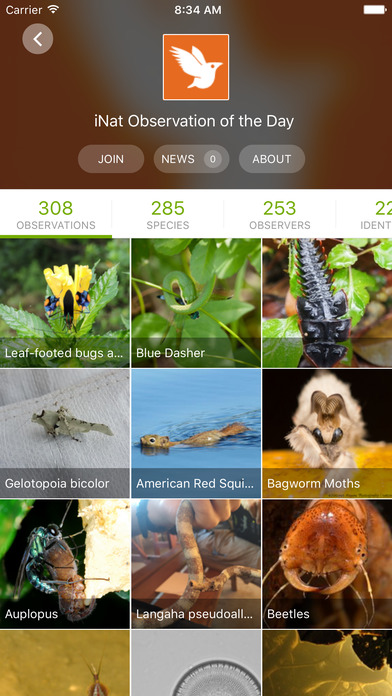 Appy Friday iNaturalist