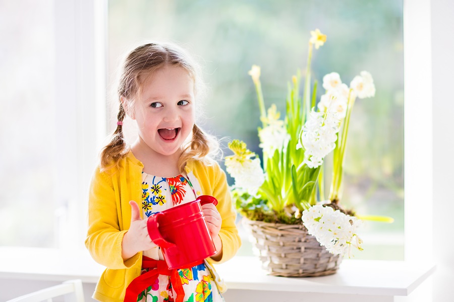 Plant Flowers