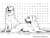 Dog Coloring Page