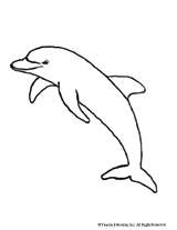 Dolphin Coloring Page