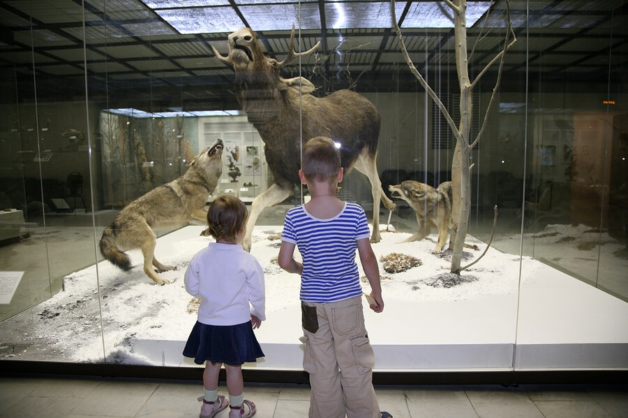 ChildreninMuseum