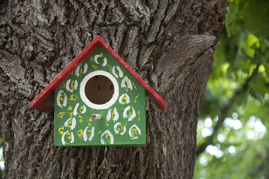 Fathers Day activities, hand built and painted birdhouse