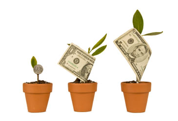 moneygrowthonplants