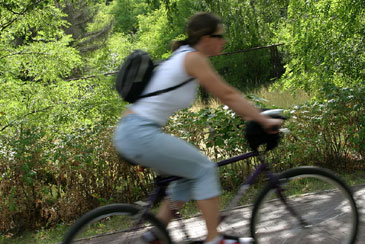 Cyclist in Motion